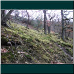 Rheinsteig II 029.jpg